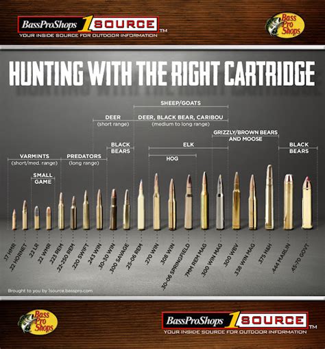 Vintage Outdoors Some More Helpful Ammo Cartridge And Bullet Reference Charts For Hunting