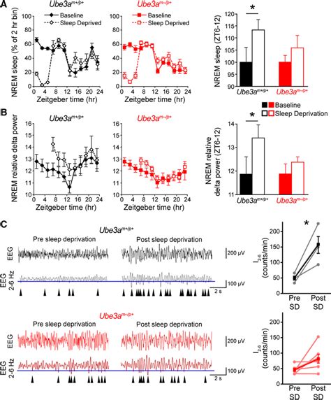 As Model Mice Exhibit Blunted Recovery Responses From Sleep