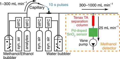 Schematic Of The Synthetic Gas Mixing Setup And The Methanol Detector