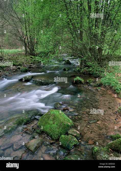Rushing Brook Course Hi Res Stock Photography And Images Alamy