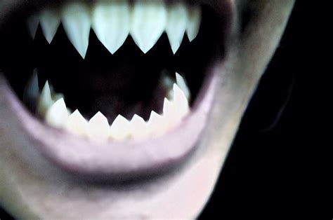 Sharp Teeth A Scary Story Virtual Space Amino