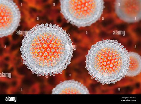 Hepatitis Jaundice Liver Virus Hi Res Stock Photography And Images Alamy