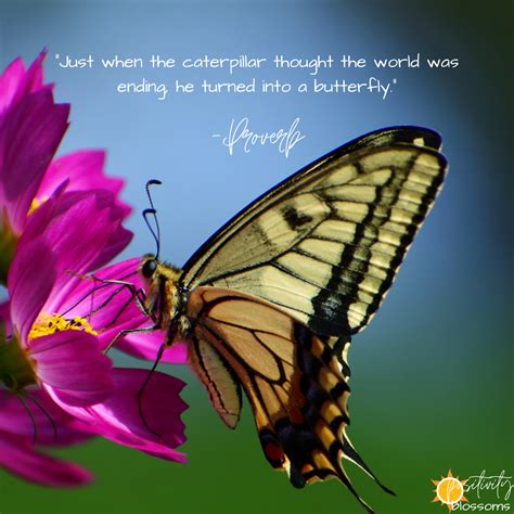 Positive Quote 104 Just When The Caterpillar Thought The World Was