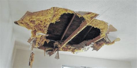 Can A Leaking Ceiling Collapse AllCoast Roofing Gold Coast