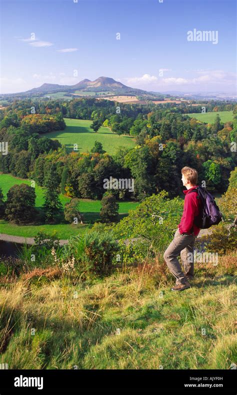 Autumn Scotts View In The Scottish Borders Walker Admiring The Autumnal