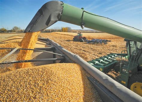 Usda Shocks With Record U S Corn Soy Yields Outlook The Western
