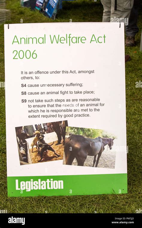 Animal Welfare Sign Hi Res Stock Photography And Images Alamy
