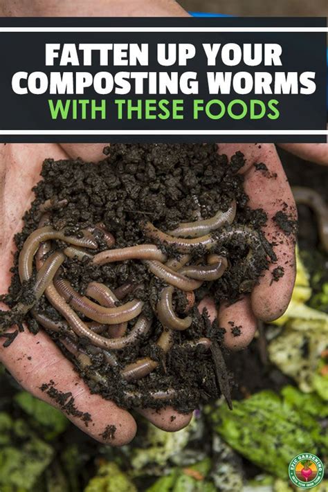 Someone Holding Worms In Their Hands With The Words Eaten Up Your