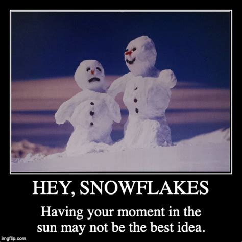 Hey Snowflakes Imgflip