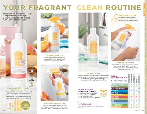 Scentsy Counter Clean Ph
