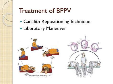 Ppt Physical Therapy In The Dod Powerpoint Presentation Free