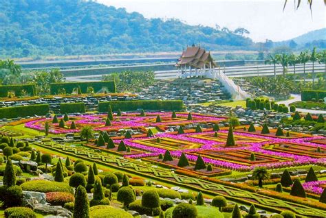 Nong Nooch Tropical Botanical Garden Pattaya Thailand 103 Living