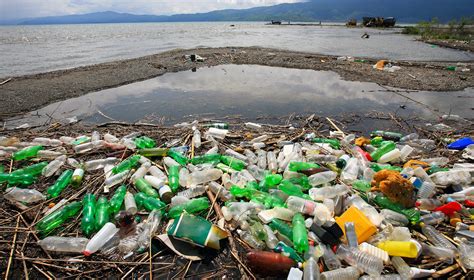 Plástico El Peor Residuo Y Sus Consecuencias En Los Océanos Del Mundo