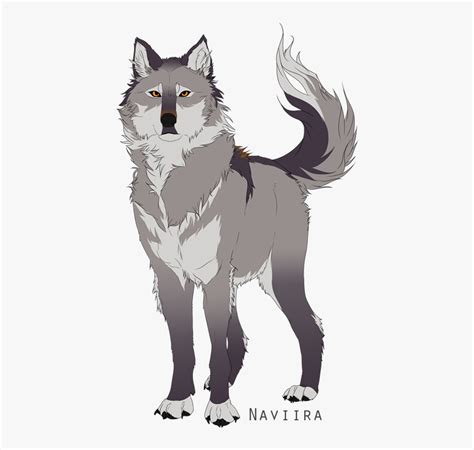 What is your rank in a wolf pack? White Wolf Anime / Cool Anime Wolf Png White Wolf Human ...