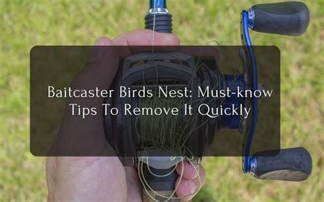 Baitcaster Birds Nest Removal Tips