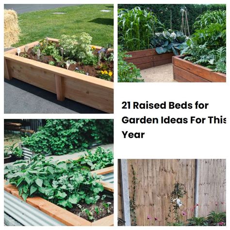 21 Raised Beds For Garden Ideas For This Year Sharonsable