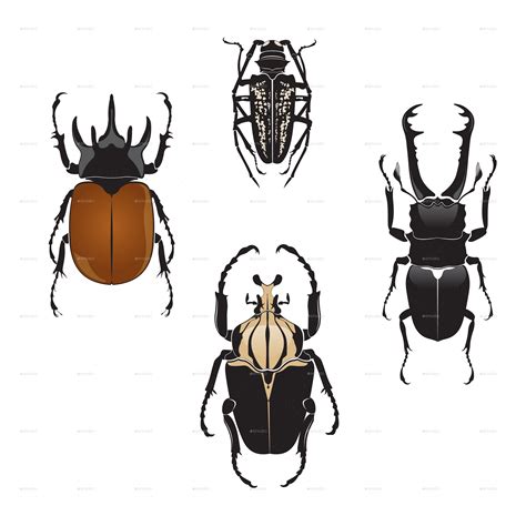 Beetles Beetle Vector Illustration Modern Graphic Design