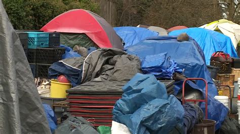 Why A Seattle Homeless Camp Was Invited To University Of Washington Nbc News