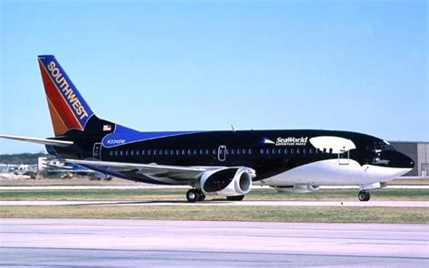 Southwest Airlines Seaworld Livery Aircraft Painting Aircraft