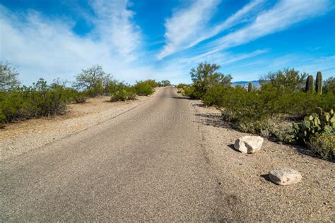 Open Road Stock Photo Image Of Street Guard Landscape 68230992