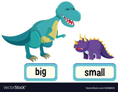 Opposite Words For Big And Small Royalty Free Vector Image
