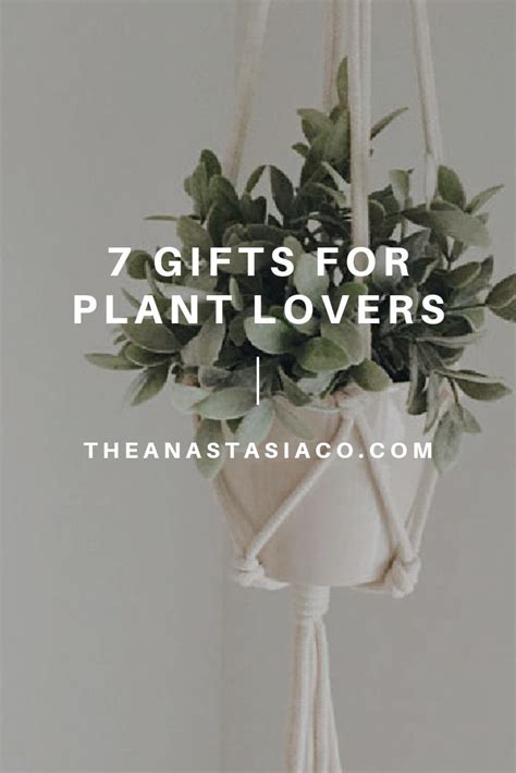 Gifts for plant lovers india. 7 Gift Ideas for Plant Lovers - The Anastasia Co | Plant ...