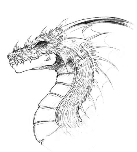 Realistic Dragons Drawing At Getdrawings Free Download