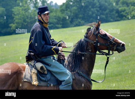 Union Cavalryman Stock Photo 7897548 Alamy