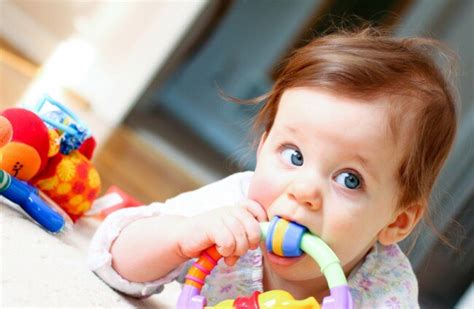 What Should I Use To Disinfect Baby Toys Wow Blog