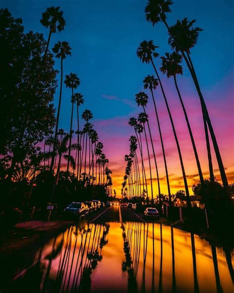 18 Sunset Cali Pics