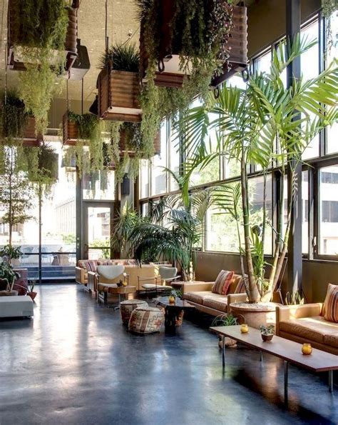 Indoor Plants Decorating Ideas For Your Home Cafe Design Green