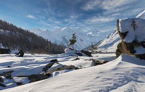 Beautiful Winter Landscape Altai Mountains Siberia Russia Stock