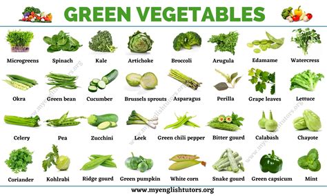 Green Vegetables List Of 31 Types Of Vegetables That Have Green Color