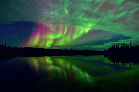 Aurora Borealis Forest The Sky Stars Reflection Night Lake