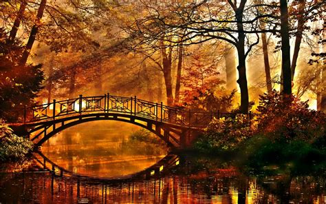 Sunshine On Autumn Forest Bridge Papel De Parede Hd Plano De Fundo