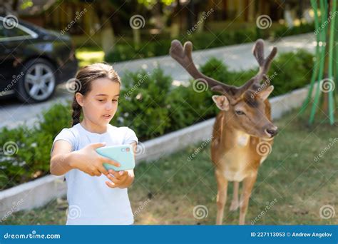 Foto De Uma Menina Alimentando Veado E Abraçando O Imagem De Stock Imagem De Nave Contente