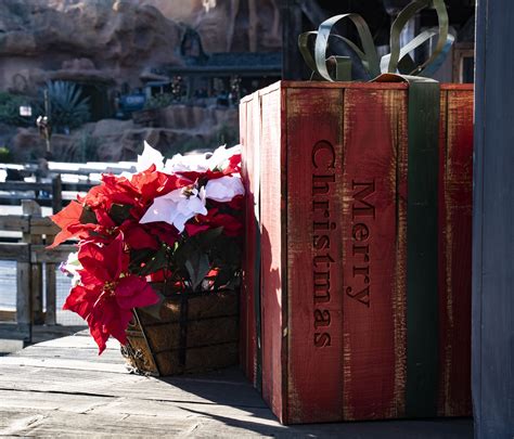 Christmas At The Train Station Free Stock Photo Public Domain Pictures