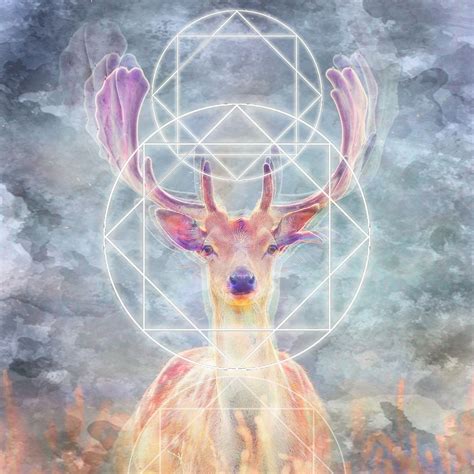 Deer Spirit Digital Print Keia Dreger Spirit Animal Painting Moose Art