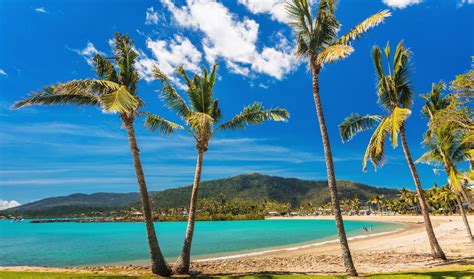 Guide To Airlie Beach Tourism Australia