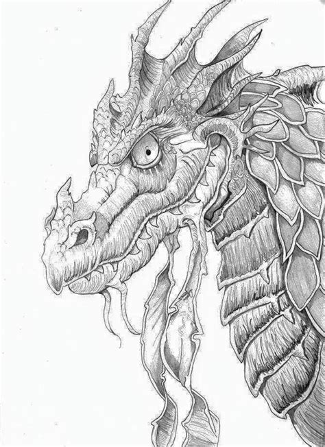 adult coloring pages dragons at getdrawings free download