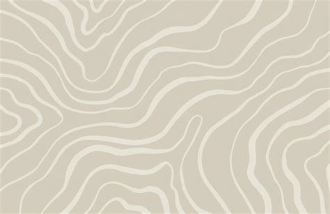 Neutral Tone Modern Abstract Lines Mural Hovia