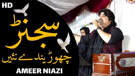 Sajan Chorenday Nai Ameer Niazi Latest Saraiki Song New Video