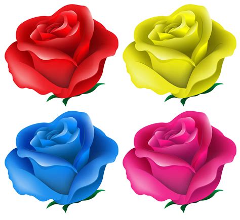 Blue Rose Vector Art Icons And Graphics For Free Download