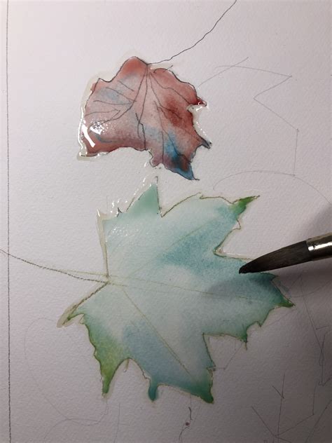 How To Paint Autumn Leaves In Watercolour Artists And Illustrators