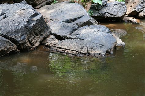 Kostenlose Foto Wasser Natur Rock Fluss Teich Tierwelt Bach