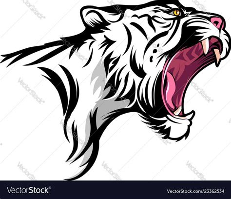 Vector Illustration Tiger Fierce With Open Mouth Download A Free