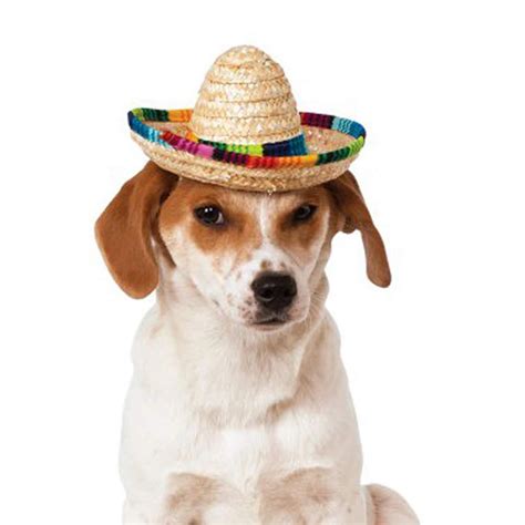 Dog Sombrero Hat Mini Straw Sombrero Hats Mexican Hats Sombrero Party