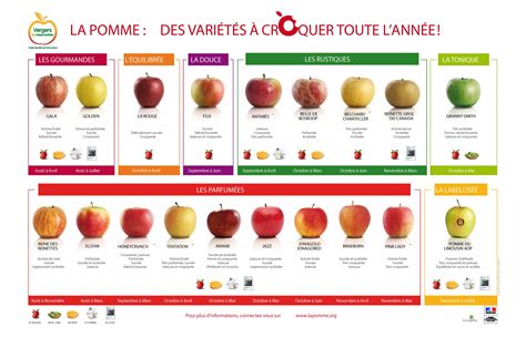 Calendrier Variétés De Pommes Françaises Verger Pomme Pomme Gourmands