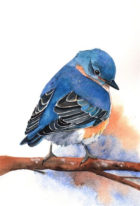 Baby Blue Jay Bird Watercolor Paintings Watercolor Animals Birds