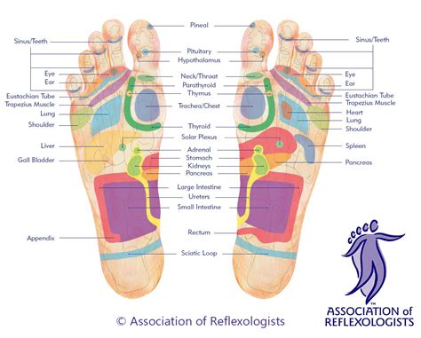 Some of the skin diseases are visible through a color or some color patches which appear on the skin. Eye Spy Yoga & Aroma Therapies - REFLEXOLOGY